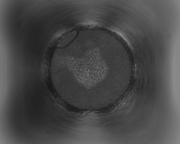 X0000095130967200712141153