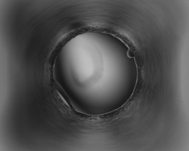 X0000095130968200712141153