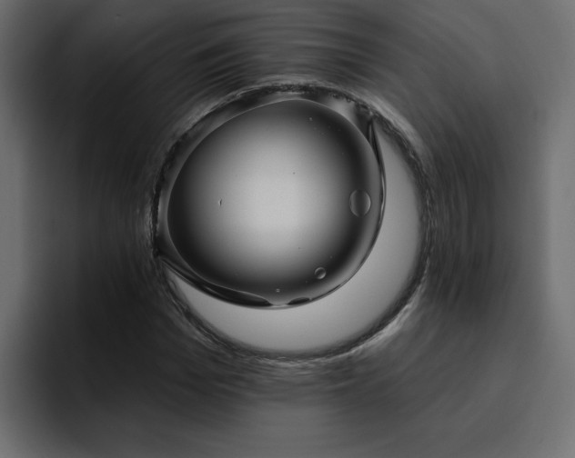 X0000095130969200712141153