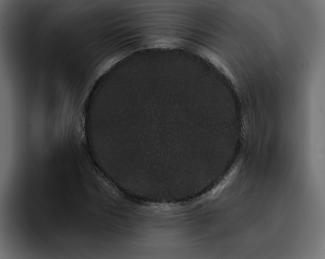 X0000095130970200712141153