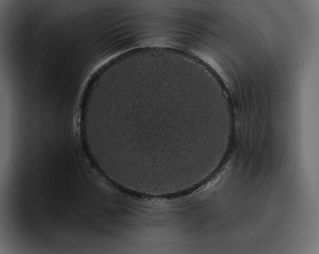 X0000095130971200712141153