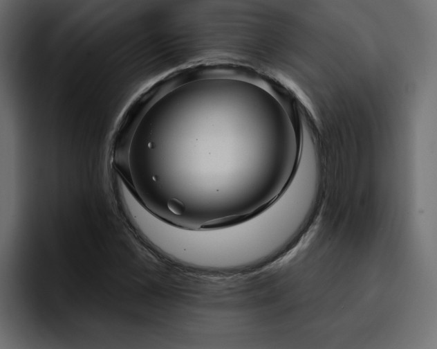 X0000095130973200712141153