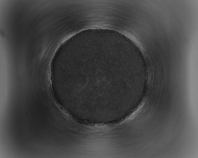 X0000095130974200712141153