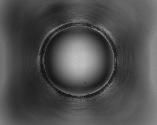 X0000095130975200712141153