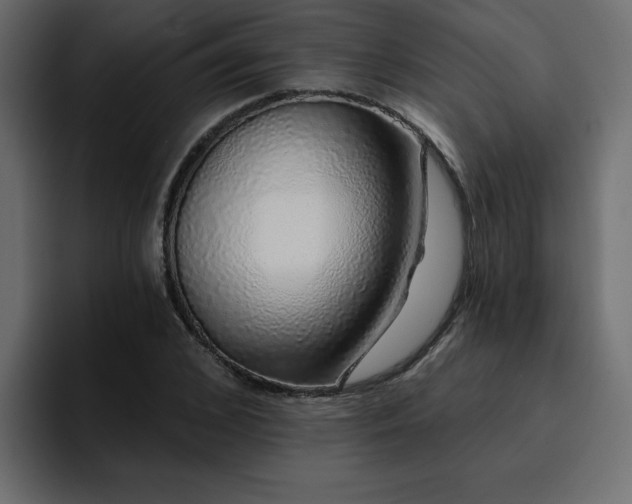 X0000095130976200712141153