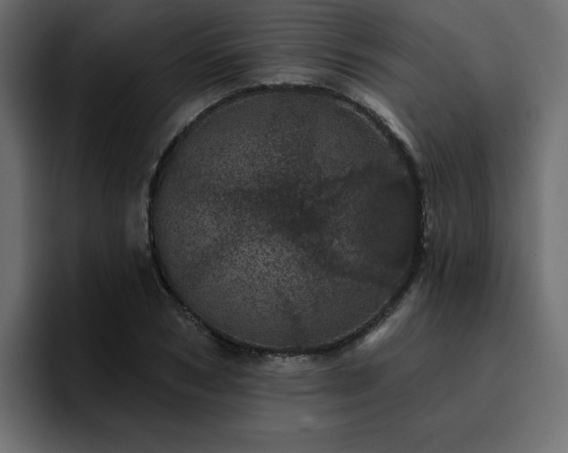 X0000095130978200712141153