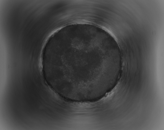 X0000095130979200712141153