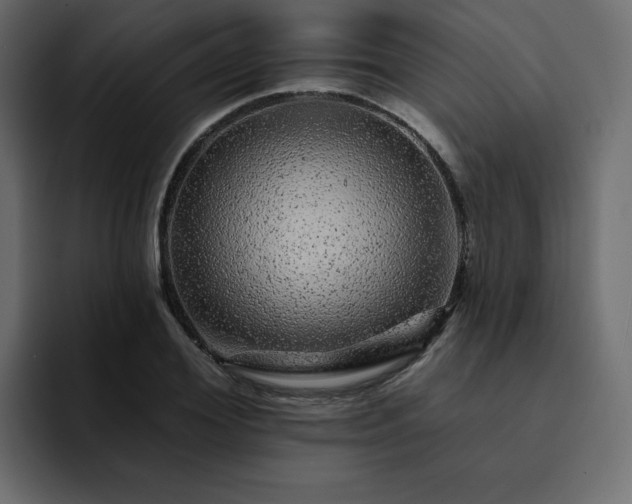 X0000095130980200712141153