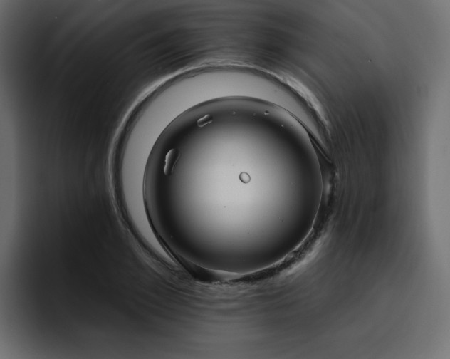 X0000095130981200712141153