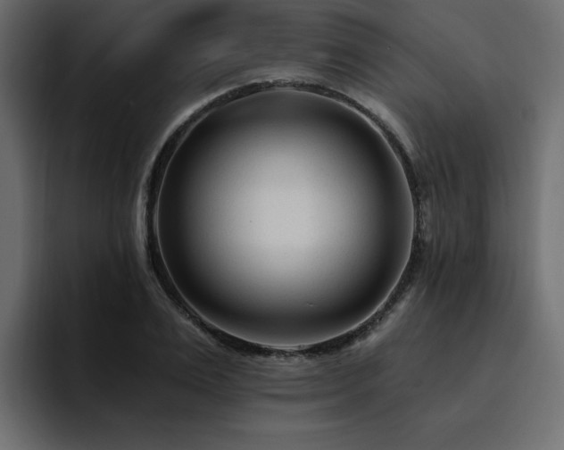 X0000095130983200712141153