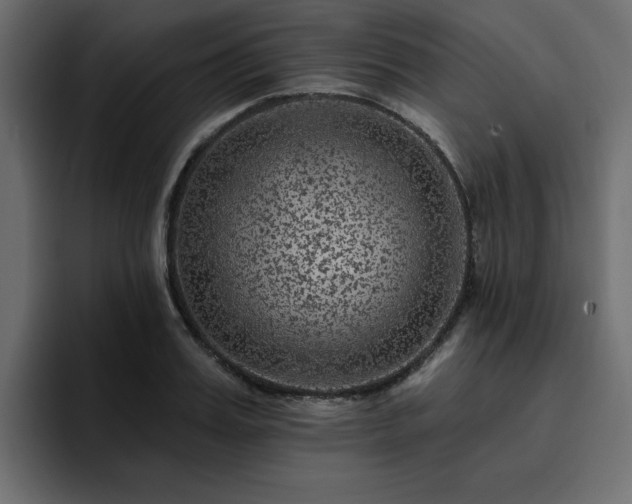 X0000095130987200712141153