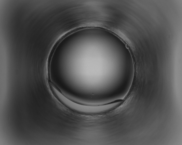 X0000095130988200712141153