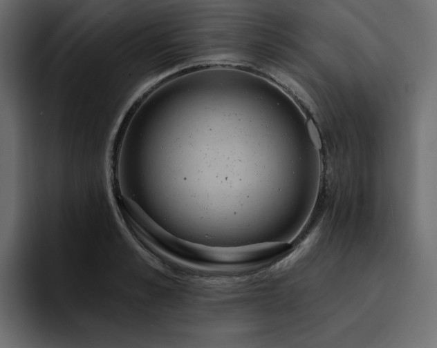 X0000095130989200712141153