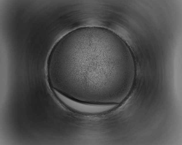 X0000095130990200712141153