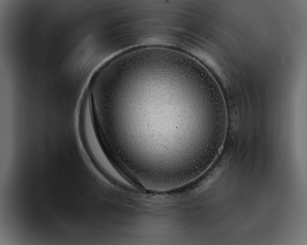 X0000095130991200712141153