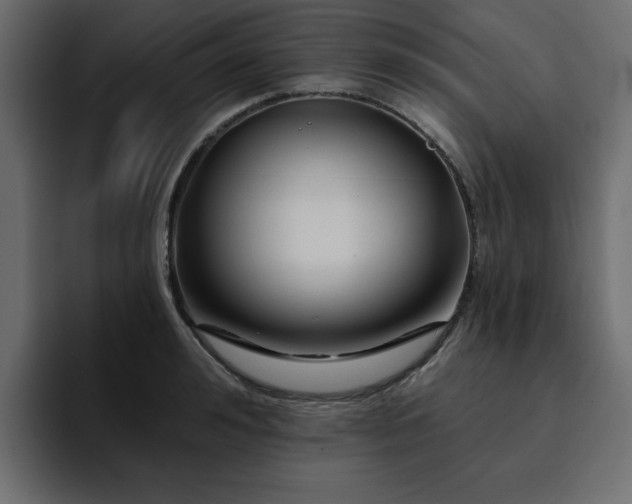 X0000095130992200712141153