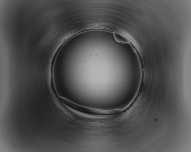 X0000095130994200712141153