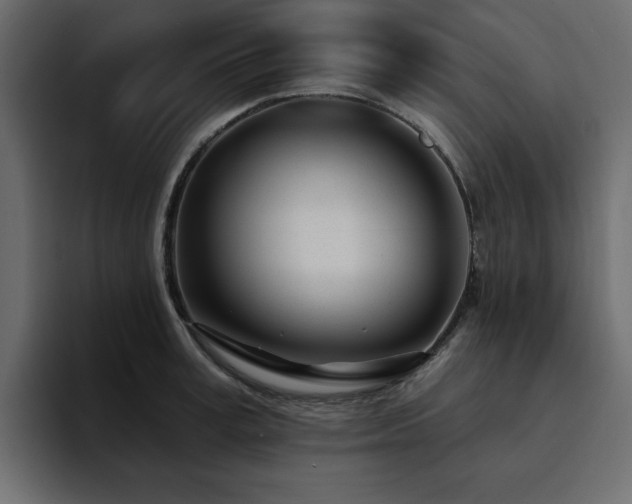 X0000095130995200712141153