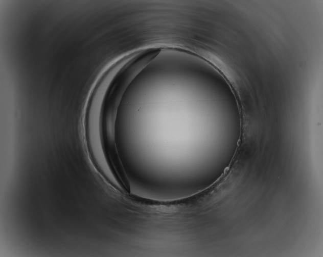 X0000095130996200712141153