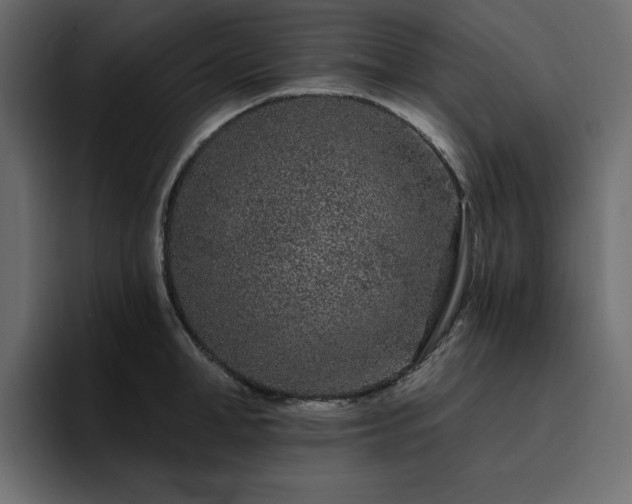 X0000095130998200712141153