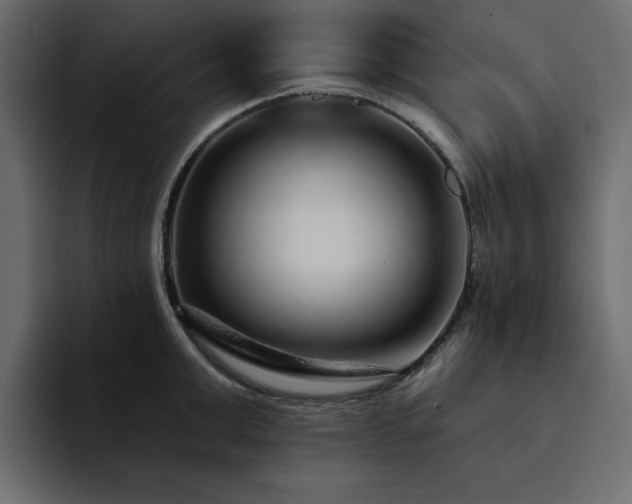 X0000095130999200712141153