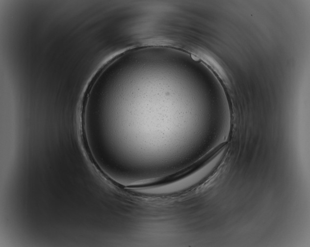 X0000095131000200712141153