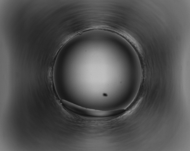 X0000095131001200712141153