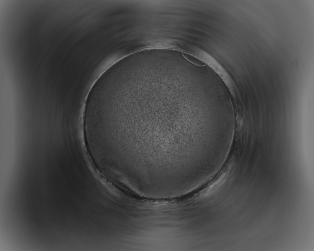 X0000095131002200712141153