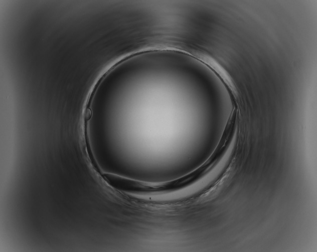 X0000095131004200712141153