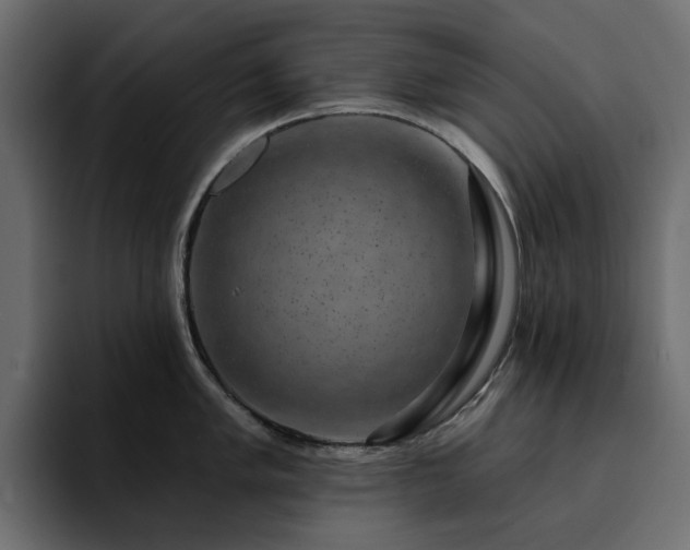 X0000095131005200712141153