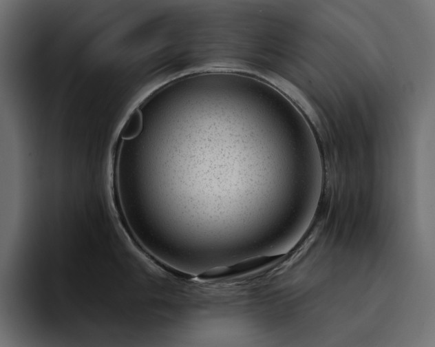 X0000095131006200712141153