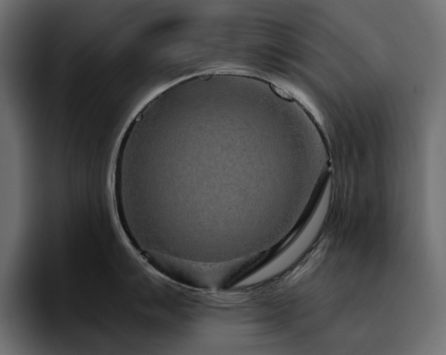 X0000095131007200712141153