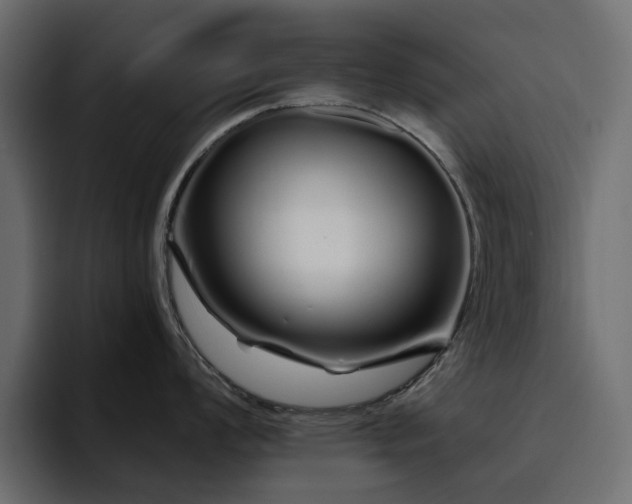 X0000095131008200712141152