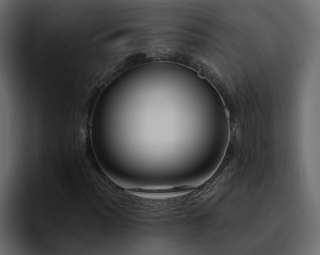 X0000095131012200712141152