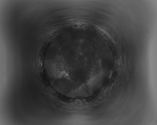 X0000095131013200712141152