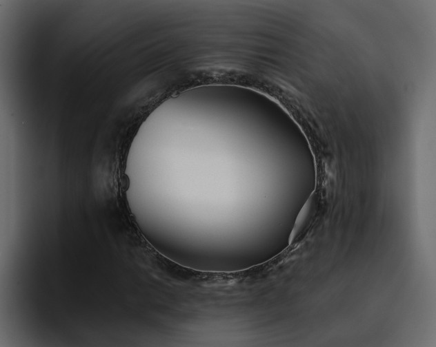 X0000095131014200712141152