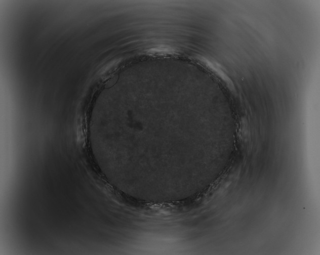 X0000095131015200712141152