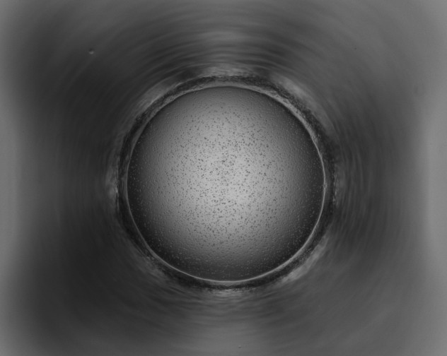 X0000095131017200712141152