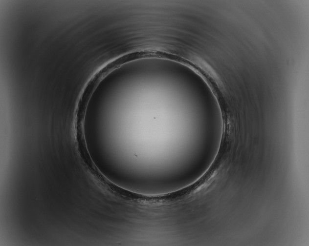 X0000095131020200712141152