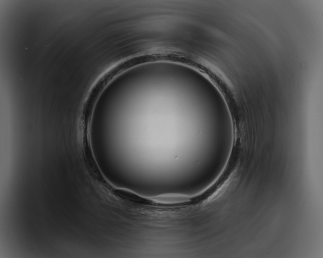 X0000095131021200712141152