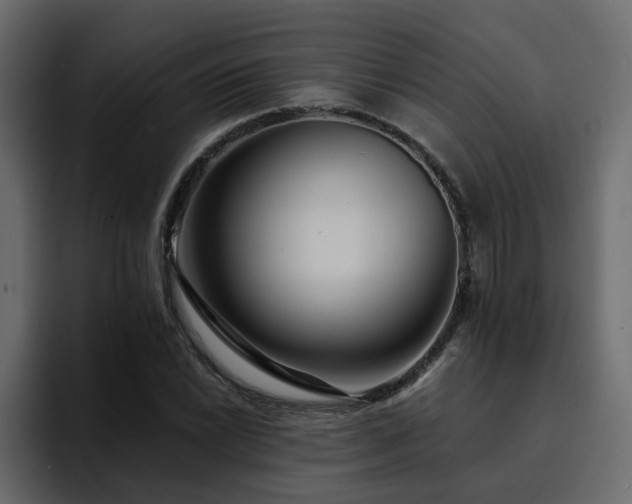 X0000095131022200712141152