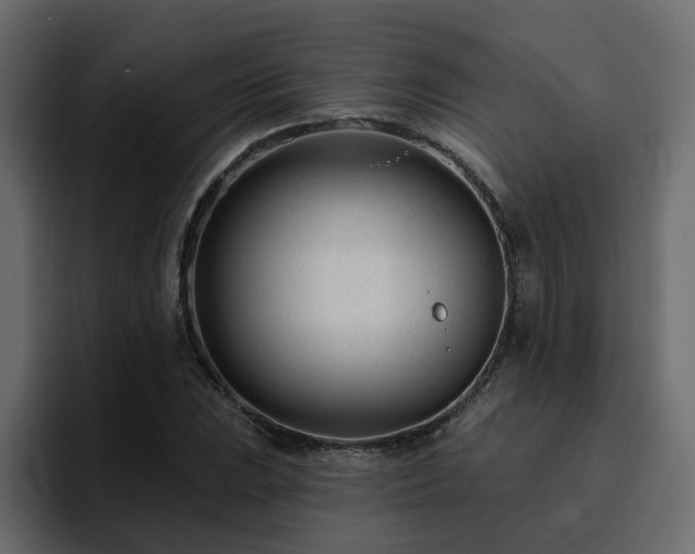 X0000095131023200712141152