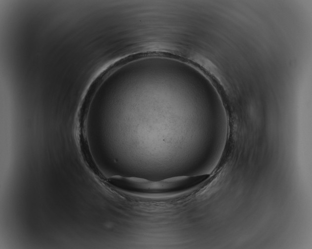 X0000095131024200712141152