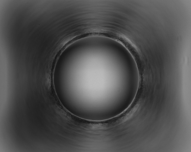 X0000095131025200712141152