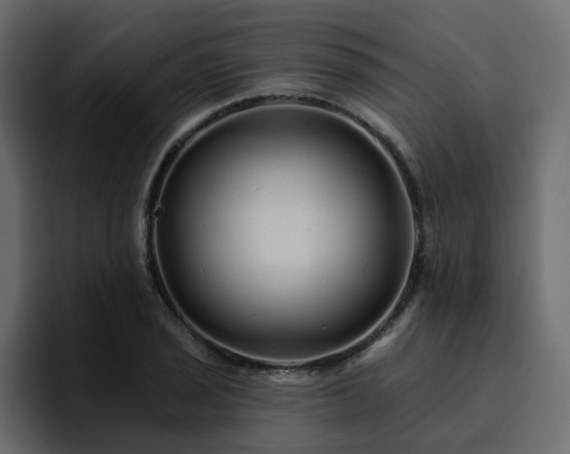 X0000095131029200712141152