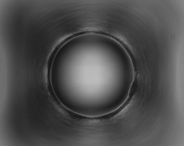 X0000095131030200712141152