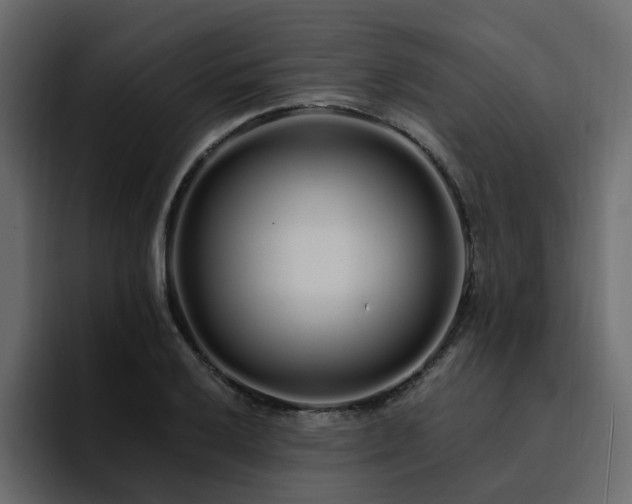 X0000095131032200712141152