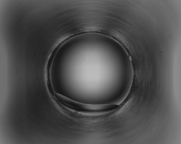 X0000095131034200712141152