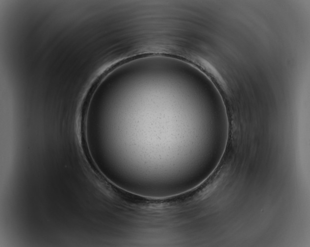 X0000095131035200712141152