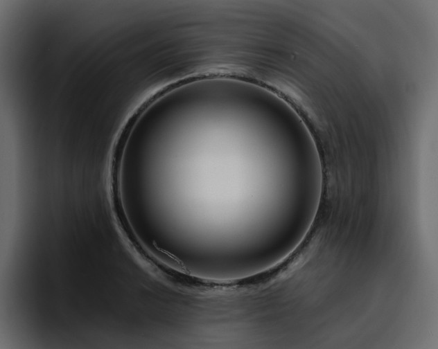 X0000095131038200712141152